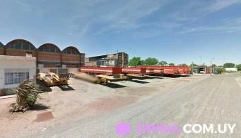 Galpones Edgardo Bertoletti S.a. - Departamento De Colonia