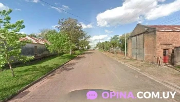 Garabatos - Blanquillo