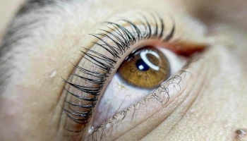 Gigi.studiouy - 12300 Montevideo