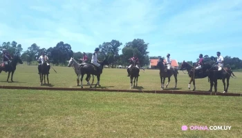 Glorieta Polo B - Montevideo Glorieta Polo B - Montevideo