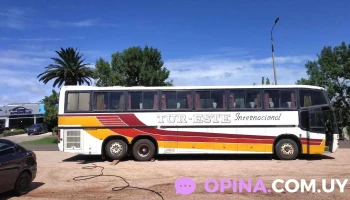 Gomería ruta 8 - Tenientes De Artigas