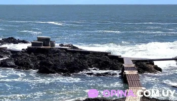 GramaticasE - San Carlos