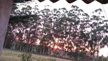 Granja Gijon - 12800 Montevideo