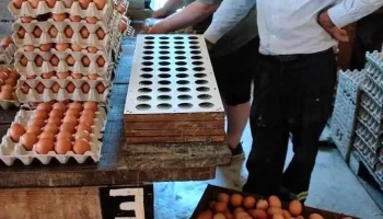 Granja Nj El Reencuentro - Ruta 98 5 200 Km Granja Nj El Reencuentro - Ruta 98 5 200 Km