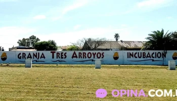 Granja Tres Arroyos Uruguay - Incubación - Puntas De Valdez