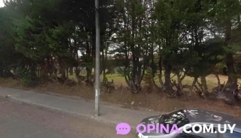 Green Apple - 20400 San Carlos