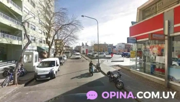 Green Apple's Papelería - Maldonado