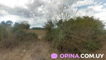 Gregorio Morena y Cia - 70100 Carmelo