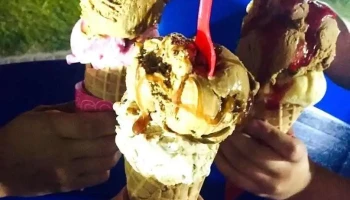 Grido Helado - Montevideo Grido Helado - Montevideo