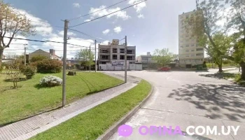 grupo panal - 11400 Montevideo