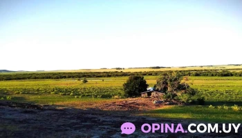 Guichon - Departamento De Paysandú