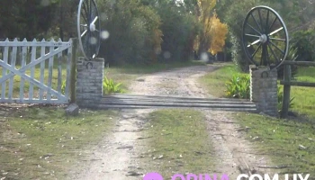 guillermo arrillaga - Florida guillermo arrillaga - Florida