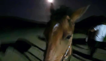 Haras San Francisco - Piriápolis