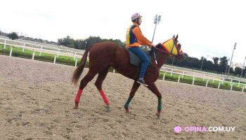 Hipódromo - Montevideo Hipódromo - Montevideo