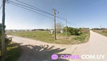 Hortícola El Fortín sas - Estación Atlántida