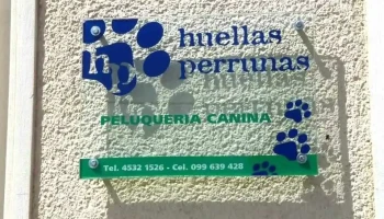Hp Huellas Perrunas - 75000 Mercedes