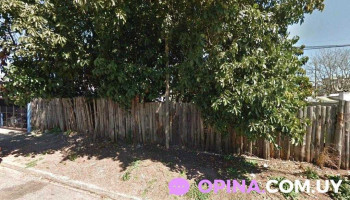 iL Padrino Fruteria y Verduleria - Departamento De Soriano