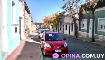 Inmobiliaria Mario Cedrani - San José De Mayo