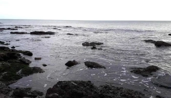 Inmobiliaria Sierra Y Mar - Piriápolis