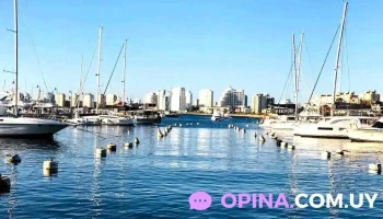 Inmobiliaria Verona Punta - Punta Del Este
