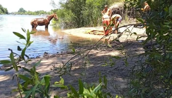 Institución Atlética Sud América - Mercedes