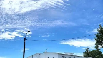 Instituto de Alta Especialización 