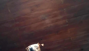 Instituto de Inglés Melo - Melo