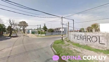 Instituto Maryland - Montevideo