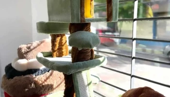 IntegralVet Clínica Veterinaria - 11700 Montevideo