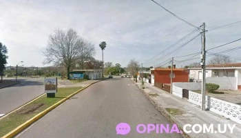 Jardin Arcoiris - Florida Jardin Arcoiris - Florida