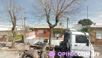 Jardín Collage - Florida Jardín Collage - Florida