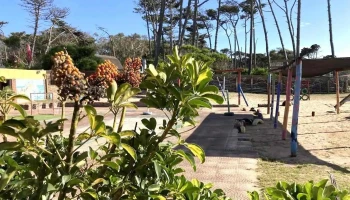 Jardín de Infantes Nº 106 - La Paloma