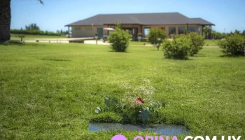 Jardines del Alma - Departamento De Maldonado