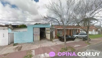 Ju Academia Maldonado Centro - Maldonado Ju Academia Maldonado Centro - Maldonado