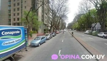 Juan Andrés Brugnini - Montevideo Juan Andrés Brugnini - Montevideo