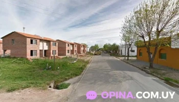 King Studio 👑 - Amadeo Alvigini