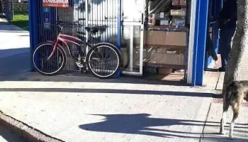 Kiosco plaza - Santa Rosa