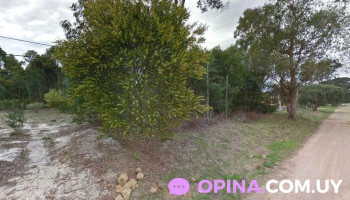 Kosak Inversiones Inmobiliarias - Sucursal A Costa de Oro - La Floresta