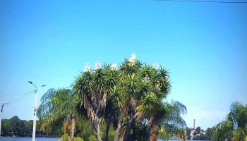 Kroser Planeta - Fray Bentos