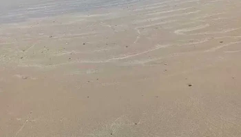 La Aguada - La Paloma