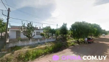 La Benedicta - Vergara