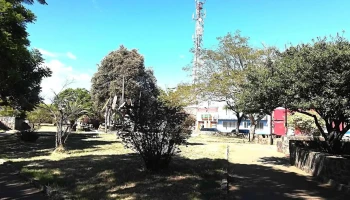 La casa de la Música y los Regalos - 45100 Paso De Los Toros