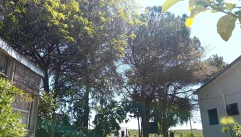 La Casa del Cura - Departamento De San José