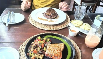 La Casa Violeta - Montevideo