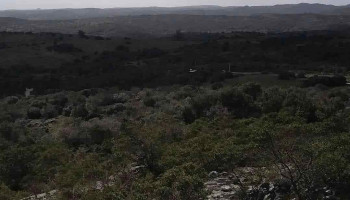 La curva - 20500 Aiguá