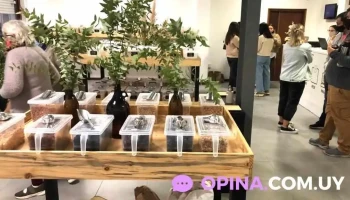 La Esquina Alimentos a granel - 75100 Dolores