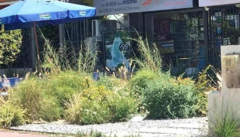 La Farola Salón Papelería - Montevideo