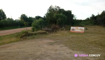 La Parrilla Del Tio Fedo - Fray Bentos La Parrilla Del Tio Fedo - Fray Bentos