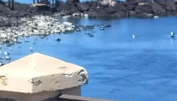 La Rinconada - Piriápolis La Rinconada - Piriápolis