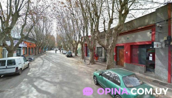 Laboratorio oriental durazno - Durazno